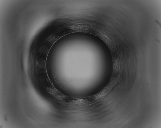 X0000093770430200710161245