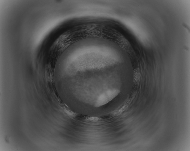 X0000093770431200710161245