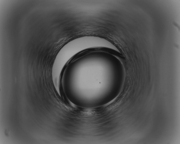 X0000093770432200710161245