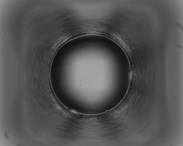 X0000093770433200710161245