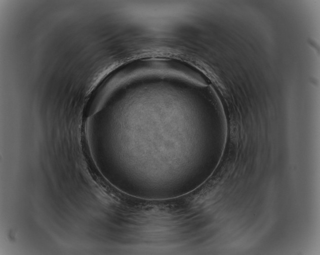 X0000093770434200710161245