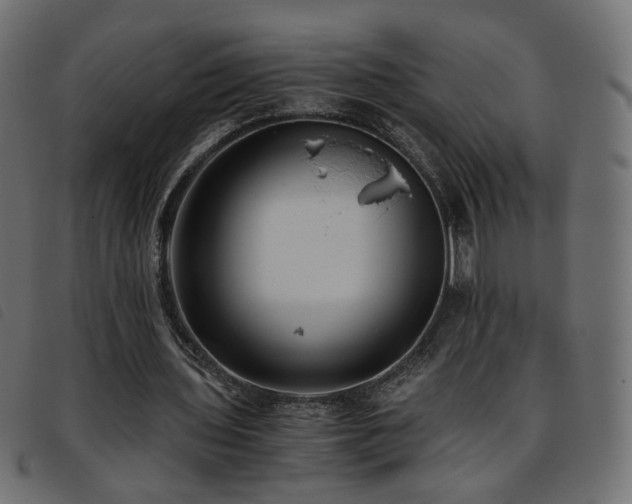 X0000093770435200710161245