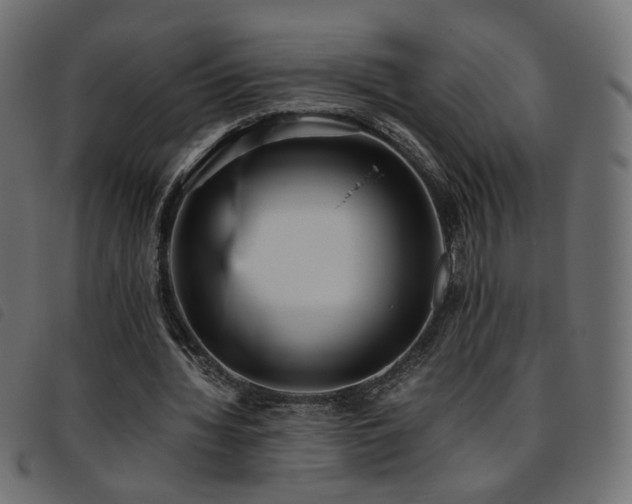 X0000093770436200710161245