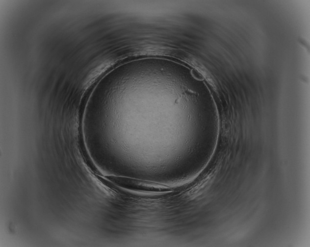 X0000093770437200710161245
