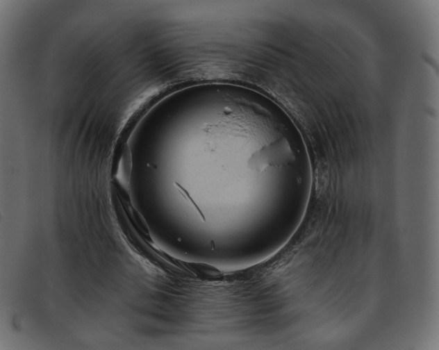 X0000093770438200710161245