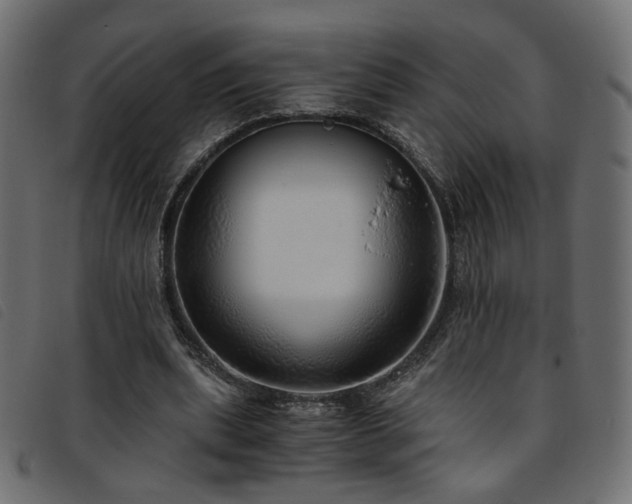 X0000093770439200710161245