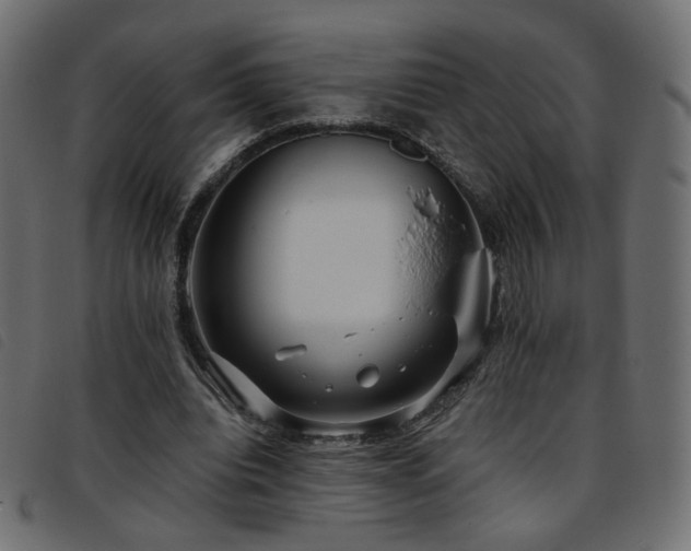 X0000093770440200710161245