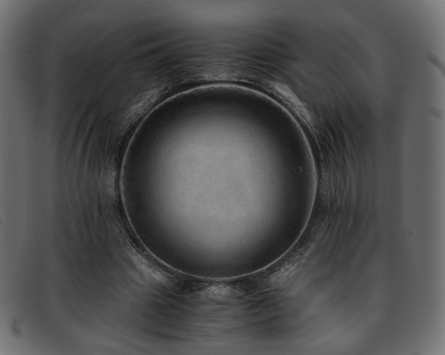 X0000093770441200710161245