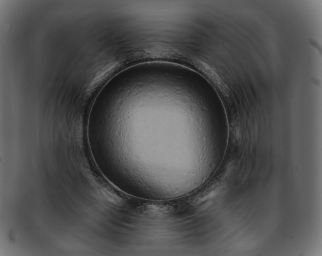 X0000093770442200710161245