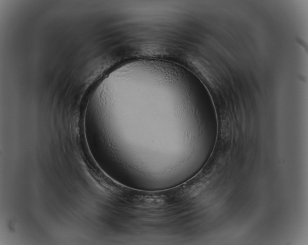 X0000093770443200710161245