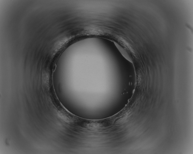 X0000093770444200710161245