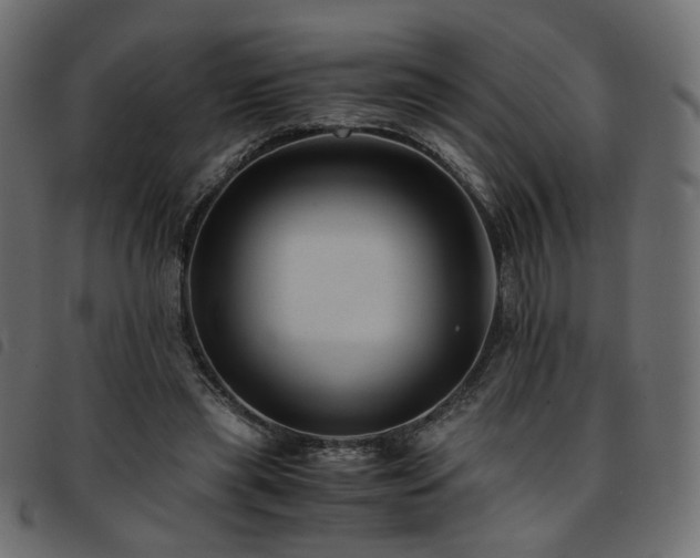 X0000093770445200710161245