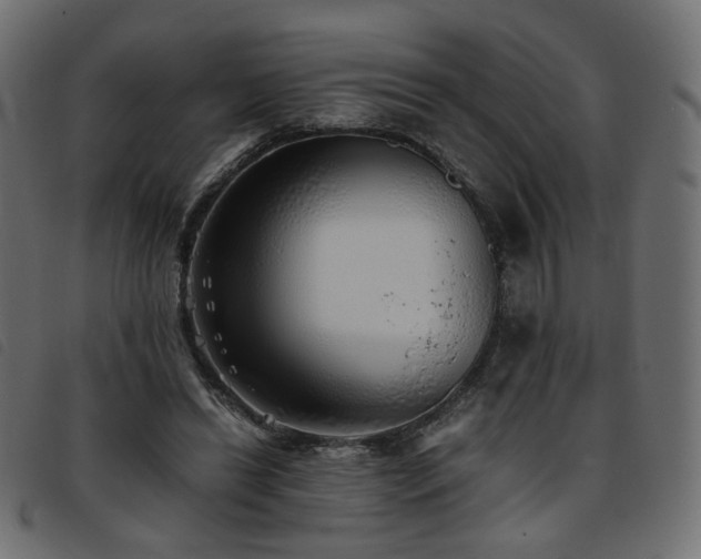 X0000093770446200710161245