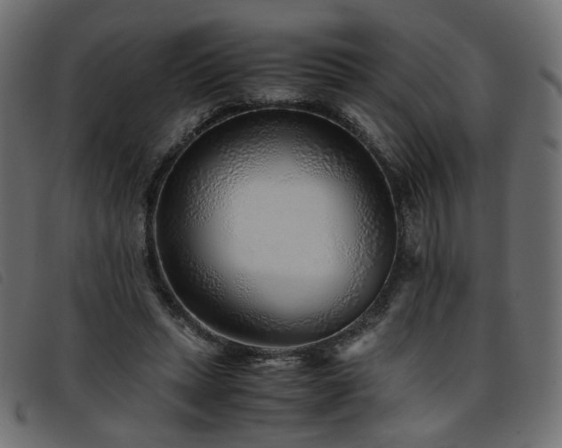 X0000093770447200710161245