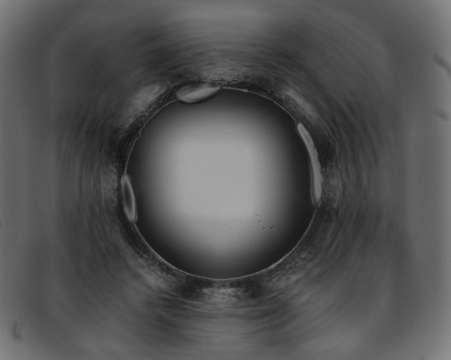 X0000093770448200710161245