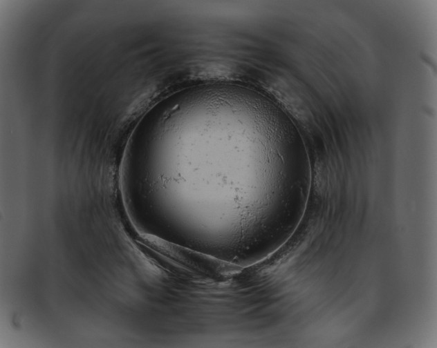 X0000093770449200710161245