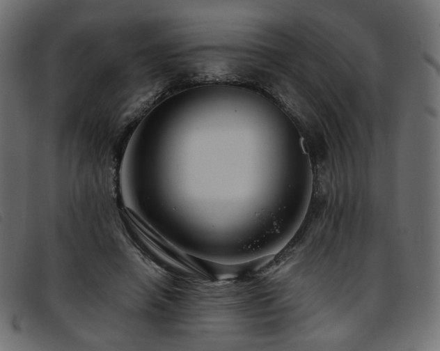 X0000093770450200710161245