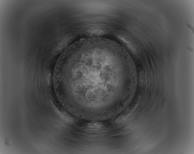 X0000093770451200710161245