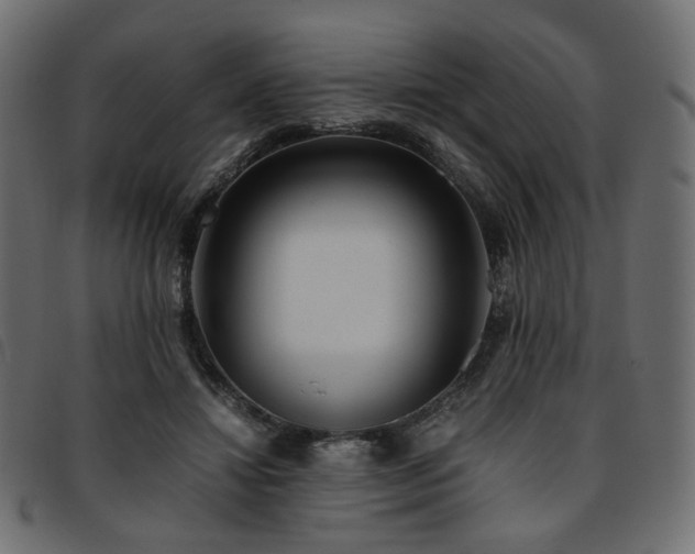 X0000093770452200710161245