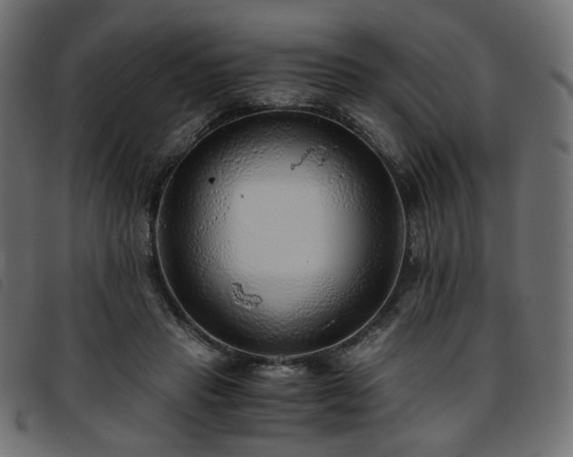 X0000093770453200710161245