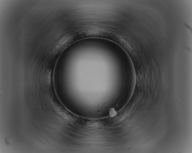X0000093770454200710161245