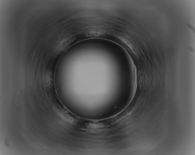 X0000093770455200710161245