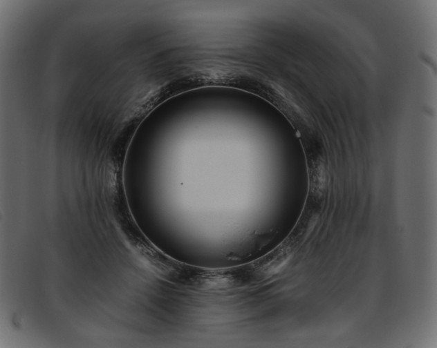 X0000093770456200710161245