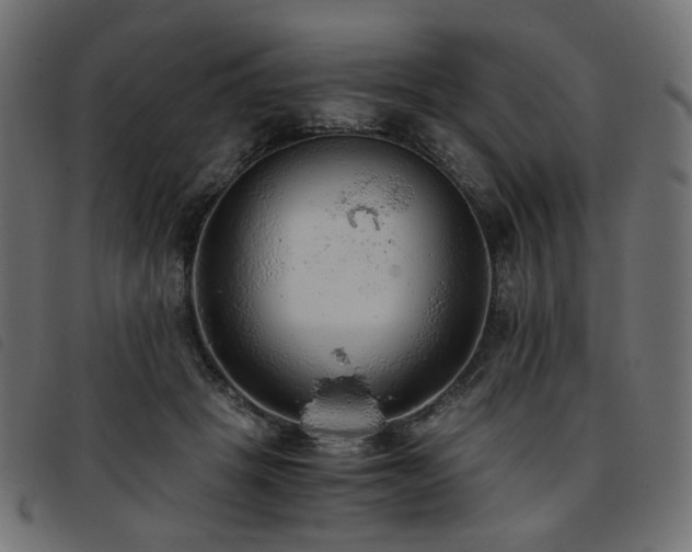 X0000093770457200710161245