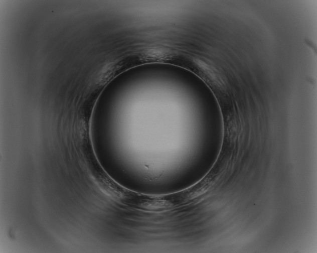 X0000093770459200710161245