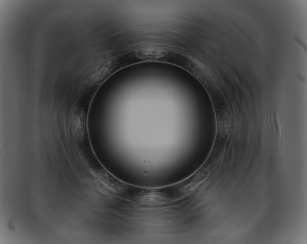 X0000093770460200710161245