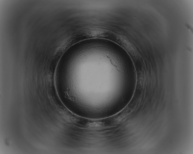 X0000093770461200710161245