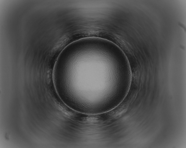 X0000093770462200710161245