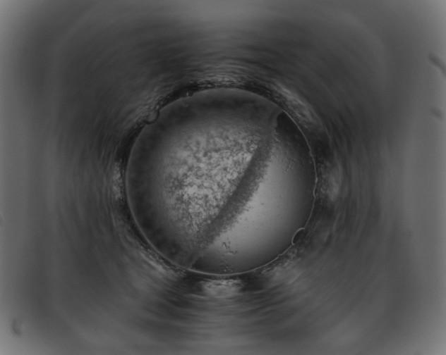X0000093770465200710161245