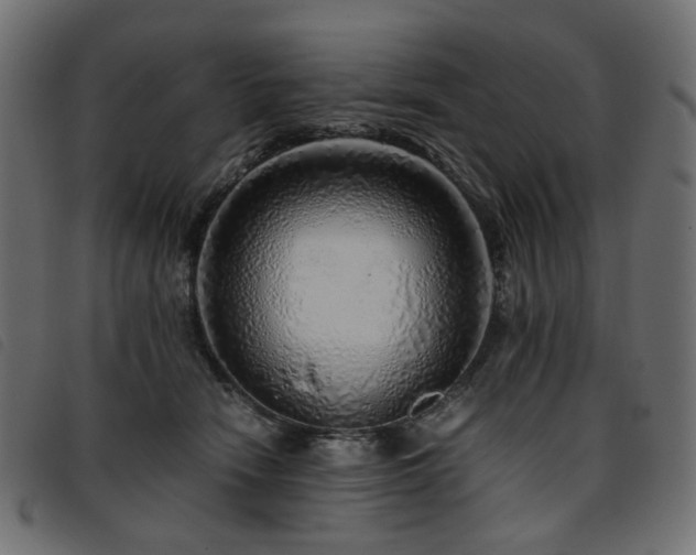 X0000093770466200710161245