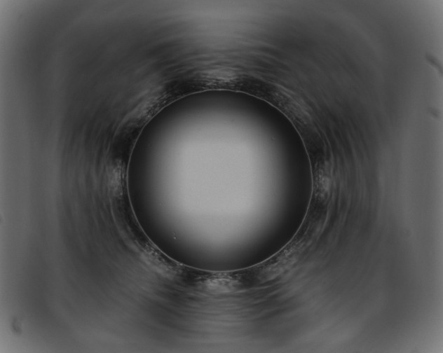 X0000093770468200710161245