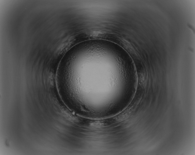 X0000093770470200710161245