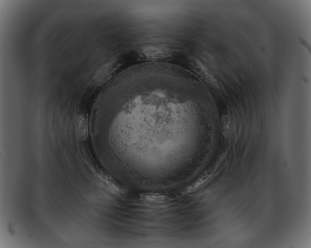 X0000093770471200710161245