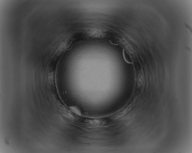 X0000093770473200710161245