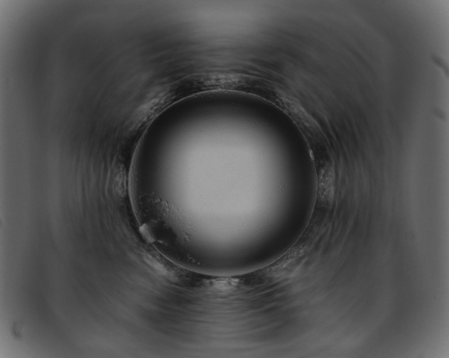 X0000093770474200710161245