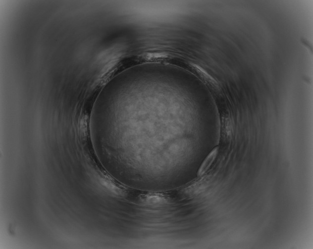 X0000093770475200710161245