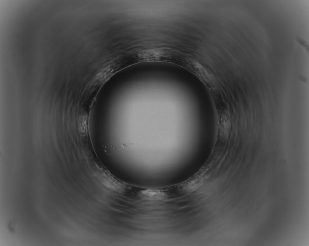 X0000093770477200710161245