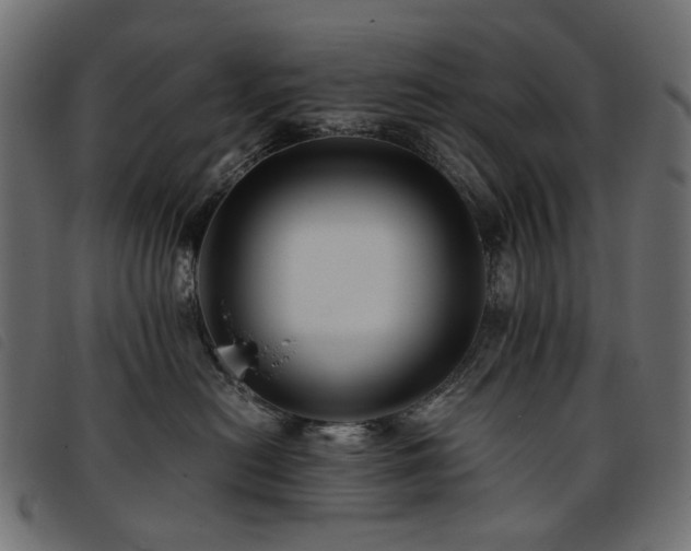 X0000093770478200710161245