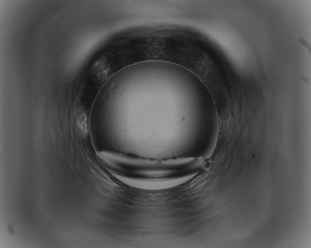 X0000093770479200710161245