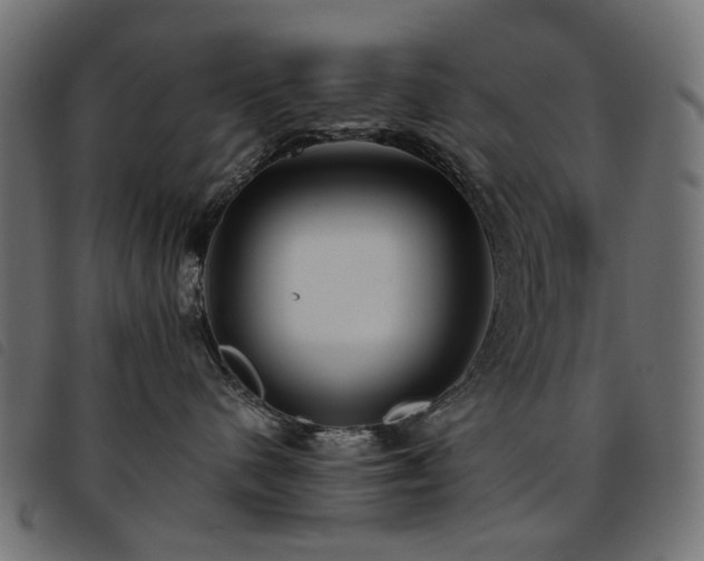 X0000093770480200710161245