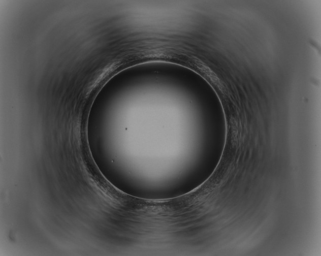 X0000093770482200710161245