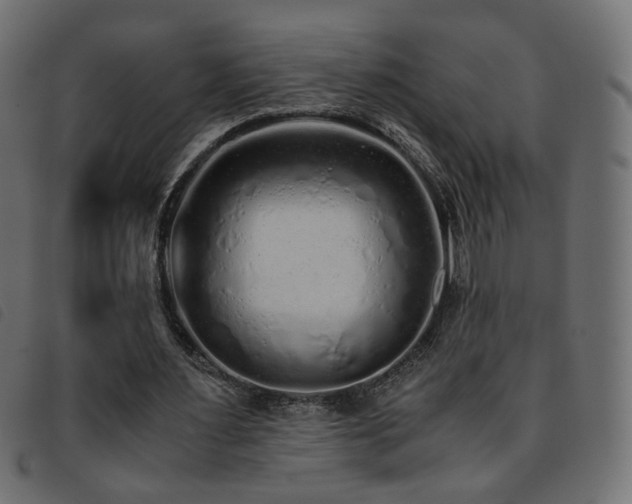 X0000093770483200710161245