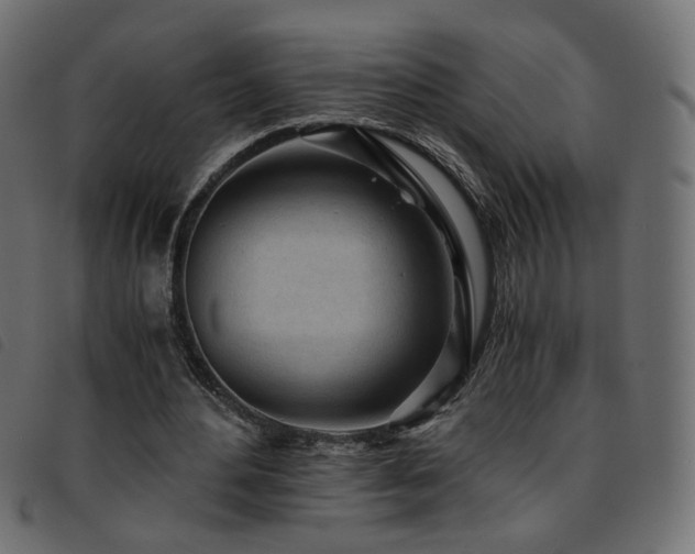 X0000093770484200710161245