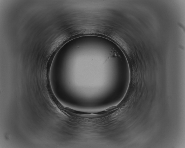 X0000093770485200710161245