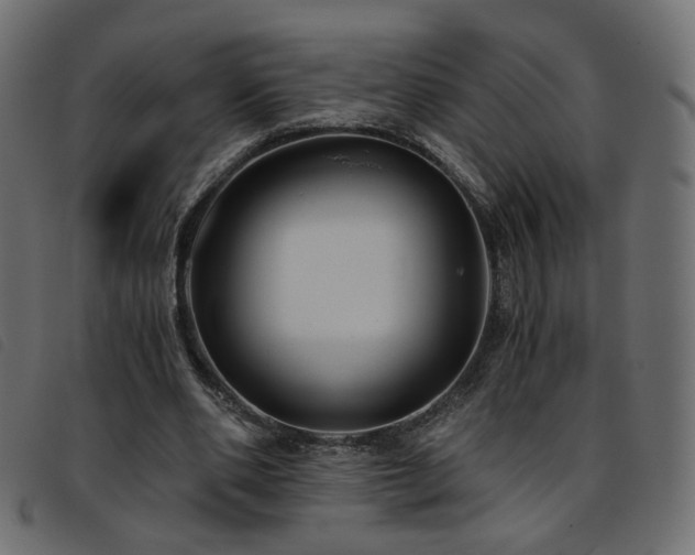 X0000093770486200710161245