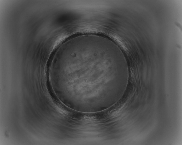 X0000093770487200710161245